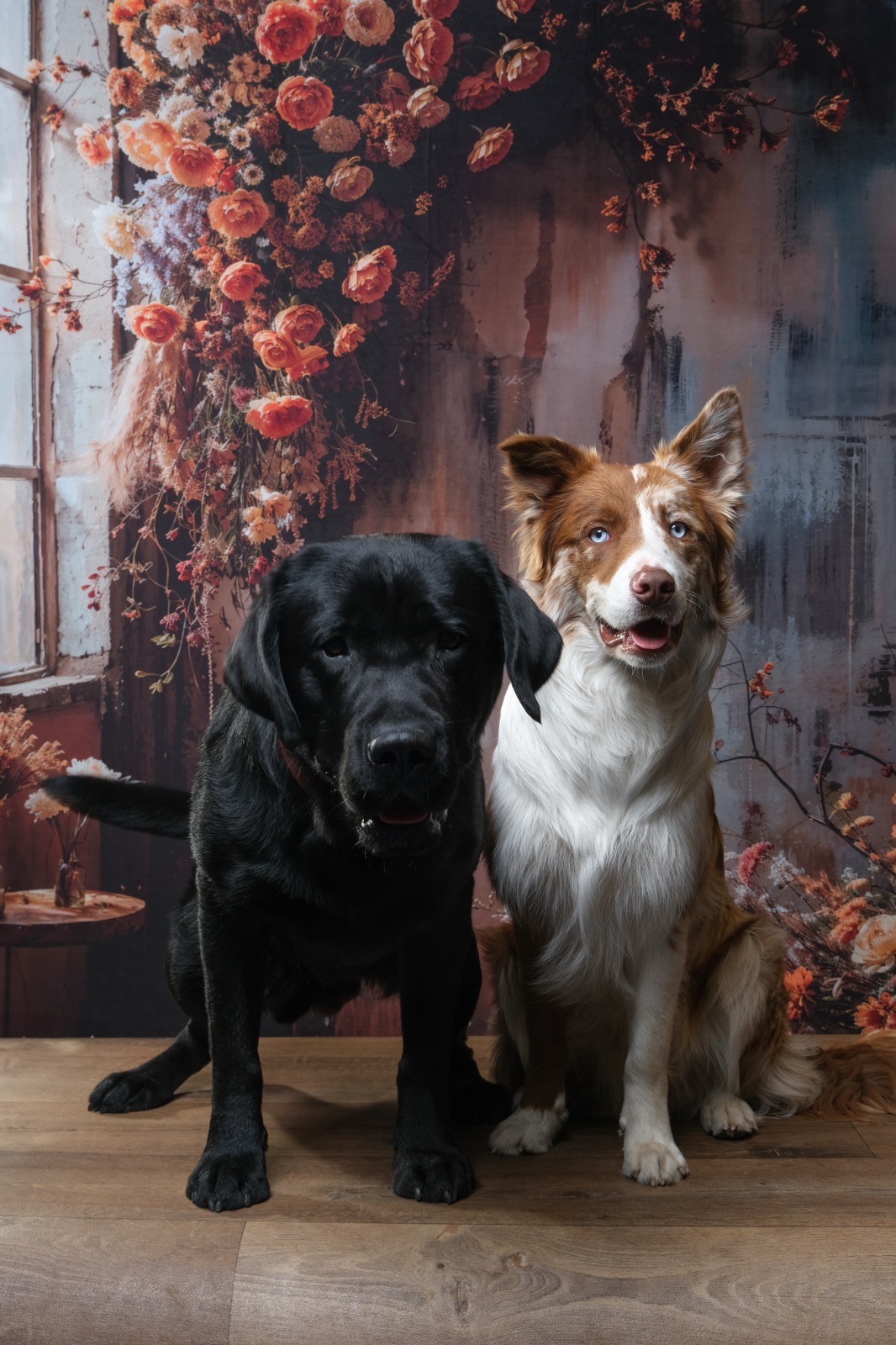 Cédric Florentz, éducateur canin diplômé, spécialisé dans l'autonomie du chien