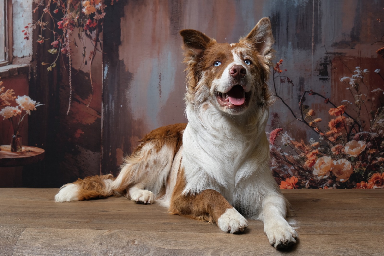 Séance d'éducation